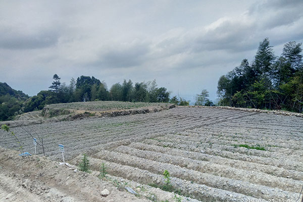 生產(chǎn)基地