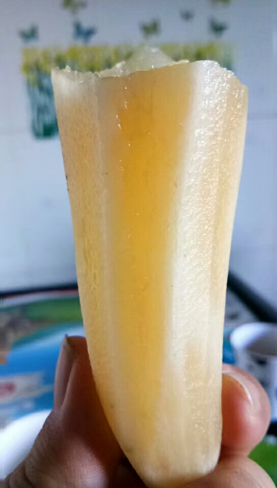 雪蓮果