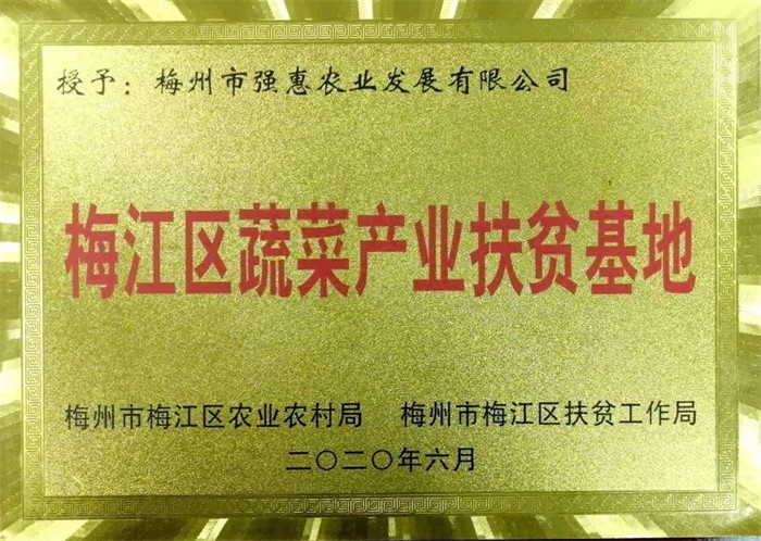 梅江區(qū)蔬菜產(chǎn)業(yè)扶貧基地