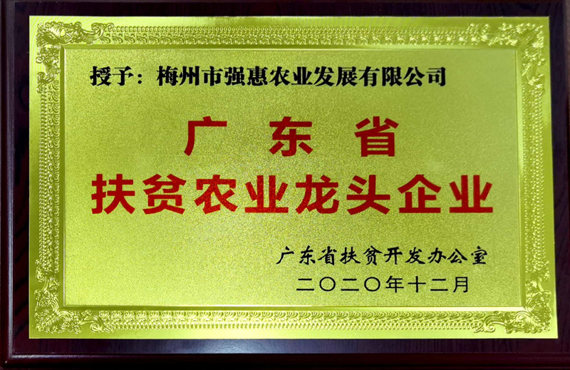 廣東省扶貧農(nóng)業(yè)龍頭企業(yè)