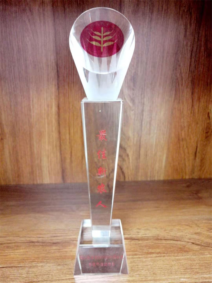 最佳新農(nóng)人